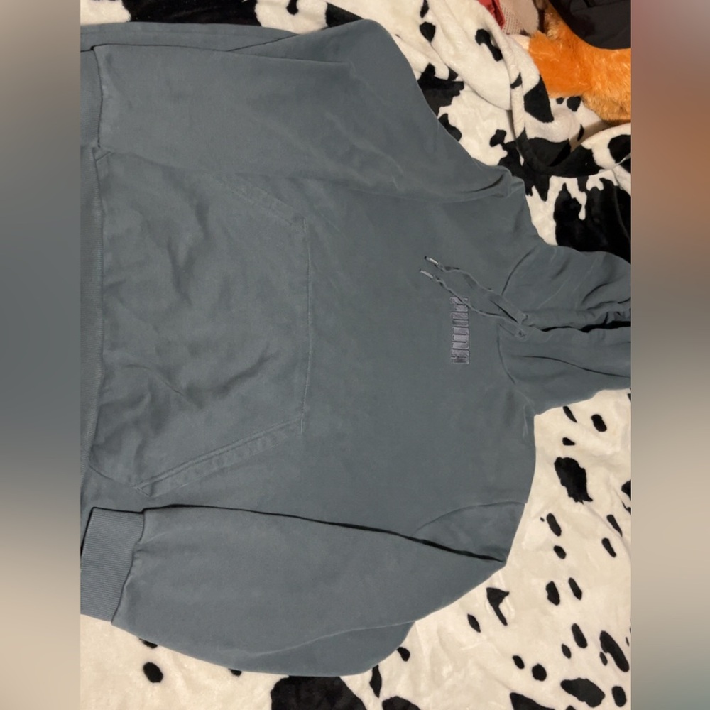 Puma Gray Hoodie